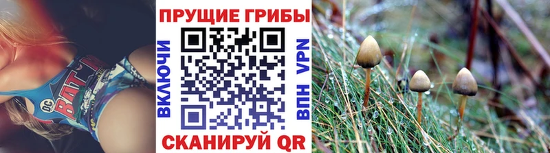 Псилоцибиновые грибы Magic Shrooms  что такое наркотик  Санкт-Петербург 